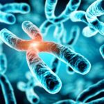 Kromozomlar hakkında önemli bilgiler