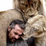 31CDA86200000578 3474729 image a 30 1457011140450