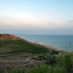 Sicilya'da şarabın tarihi