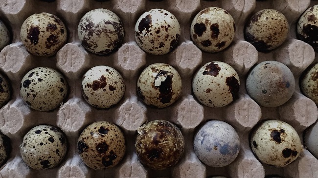 Araba Klimasından Gelen Kötü Kokular Nasıl Giderilir? 6 araba klimasında yumurta kokusu