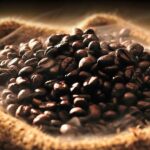 genetiği değiştirilmiş kahveler