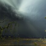 Biological evolution min