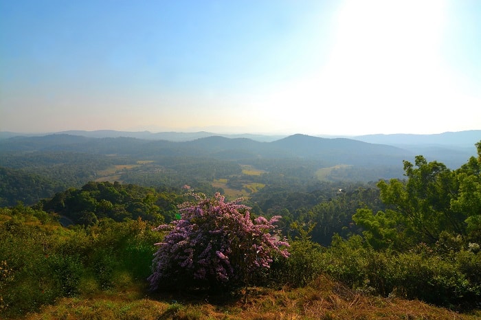 Güney Hindistan: Gezilecek en iyi turistik yerler 12 Coorg, Karnataka