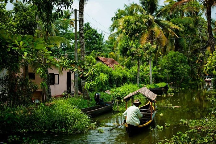 Güney Hindistan: Gezilecek en iyi turistik yerler 4 Güney Hindistan / Kerala Backwaters
