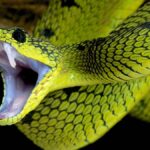 cropped 67171 istock xl 499519605 0 min