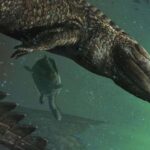 Taş yutan timsahlar