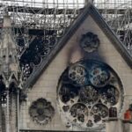 180.000 arı Notre Dame yangınından sağ çıkmayı başardı