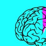 Beynimizin tümünü kullandığımızı gösteren çalışmalar