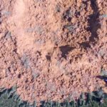 almanya bomba krater1