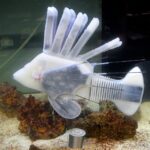 Robot kanı otonom robot