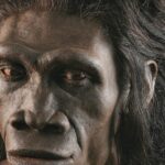 İnsan evriminin tarihi zaman çizelgesi