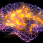 cropped video oyunlari 1