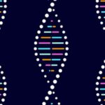 dna