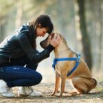 Köpek sahibi olmak kalp sağlığını iyileştiriyor