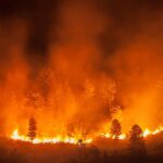 yagmur ormani amazon yangini