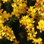 cropped AHT Display 061 min