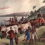 cropped Livngstone lake discovery min