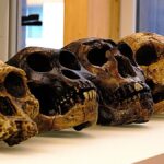 cropped shutterstock 1268501215 min 1