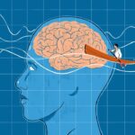 DEHB ve dopamin arasında bir bağlantı var mı?