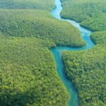 Dünya'nın en uzun nehirlerinden amazon nehri'nin havadan görüntüsü