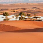 vaha sahra colu kuzey afrika