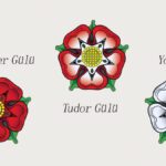 güller savaşı lancaster-tudor-ve-york-gülleri