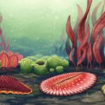 dünyada yaşamış ilk hayvanlar