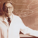 Viagra'nın Hikayesi: Robert Furchgott ve Nitrik Oksit