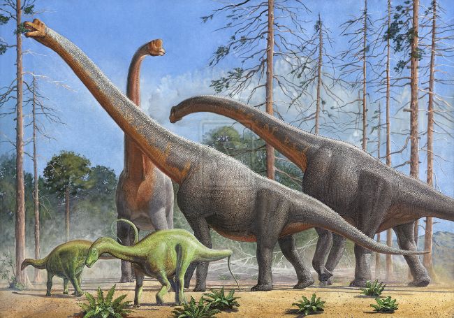 Tarih Öncesi En Büyük Hayvanlar 13 Giraffatitan