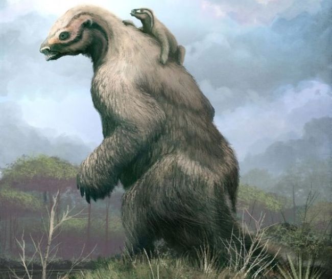 Tarih Öncesi En Büyük Hayvanlar 11 devasa tarih öncesi hayvan Megatherium