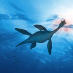 omurgali hayvan evriminin tarihi