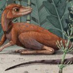 sınıflarına göre dinozor türleri