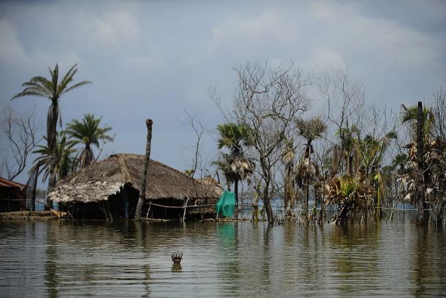 Bangladeş sel