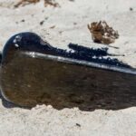 mektup siseleri ve hikayeleri