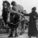 tarihteki en ünlü kadın kaşifler ve gezginler