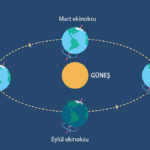 ekinokslar ve gundonumleri