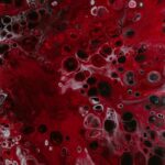 kanın görüntüsü