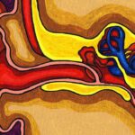 sesi nasıl duyuyoruz