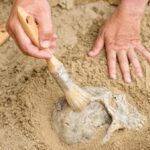 Fosil ve kayaçların yaşını bulmak