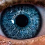 mavi göz