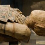 radyokarbon yaş tayini