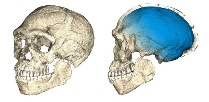 İnsan Evrimi: Homo Sapiens'in Ortaya Çıkışı ve Evrimi 3 en eski Homo sapiens fosilleri