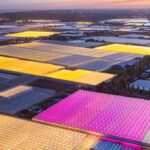 hollanda'nın tarımdaki başarısı