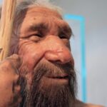 neandertal
