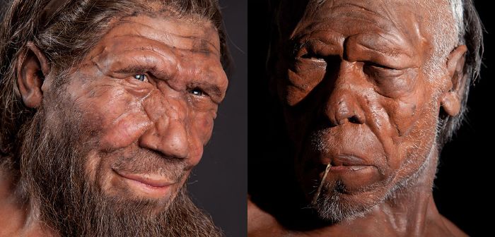Neandertal: Özellikleri, Ortaya Çıkışı ve Yok Oluşu 3 Yakın zamanda Neander Vadisi'nde keşfedildiler.