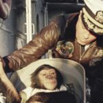 uzaya gönderilen hayvanlar