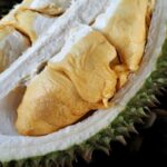 durian meyvesi