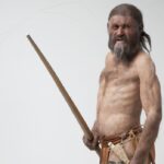 buz adam ötzi
