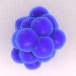 Hasta olunduğunda iştah neden azalıyor?