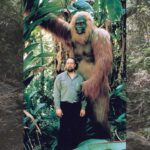Gigantopithecus